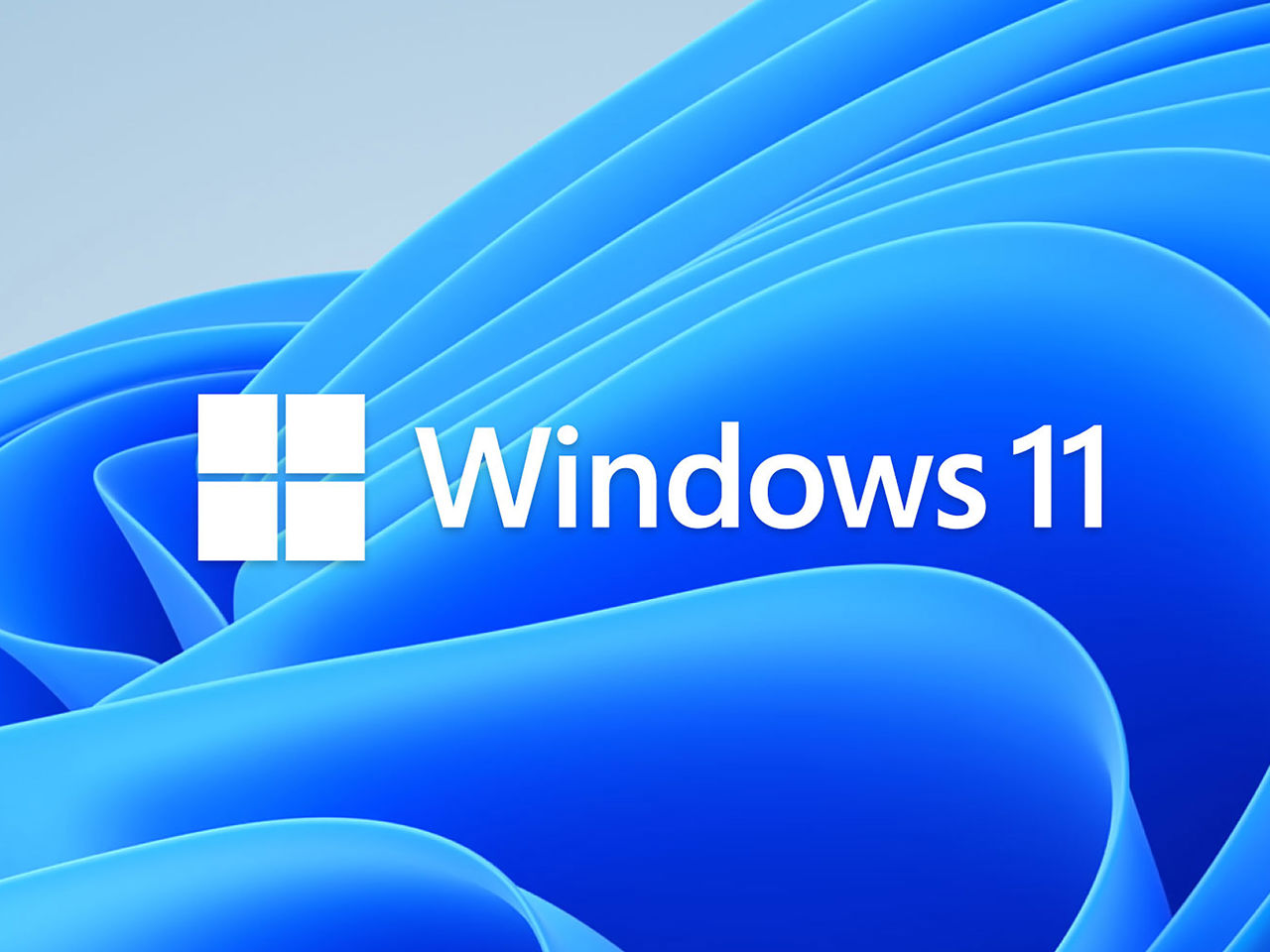 Windows 11 Logo